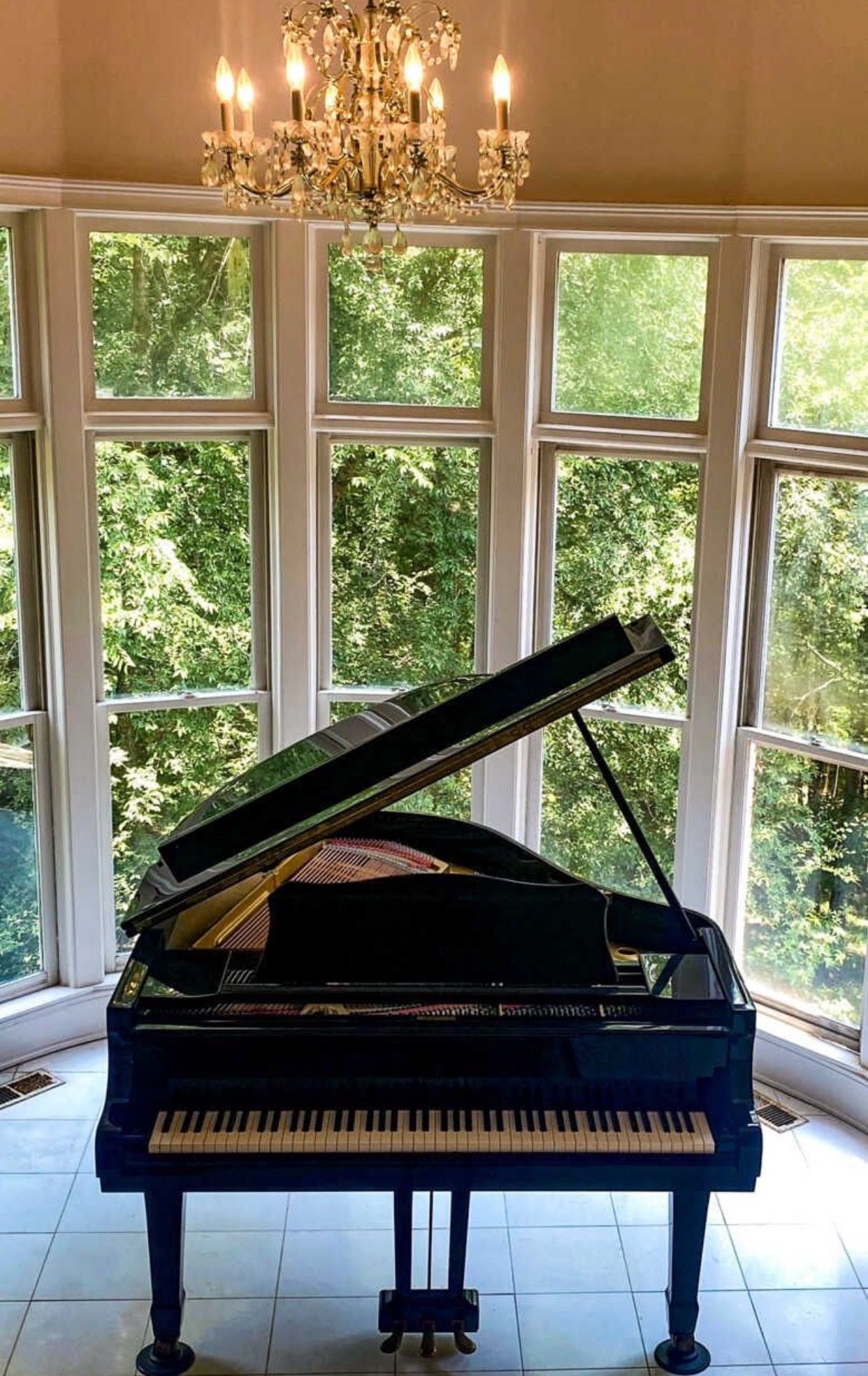 Young Chang 5'2 Baby Grand Piano - A True Gem In Excellent Condition Going For Free