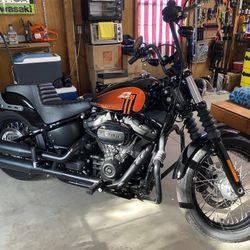 2021 Harley Davison Street Bob