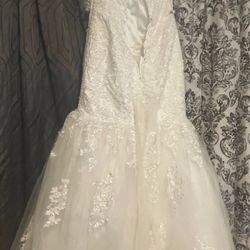 Size 8