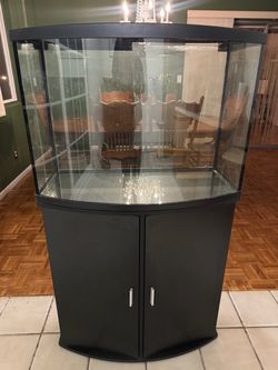 40 Gal curved fish tank