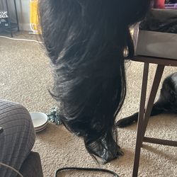 Wig