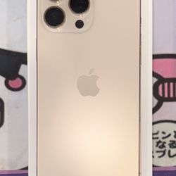 iPhone 16 Pro Max 256 GB