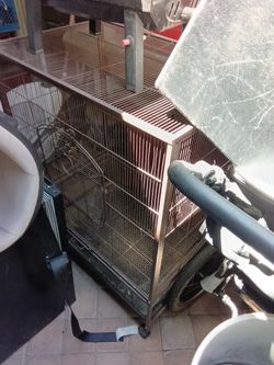 Cage