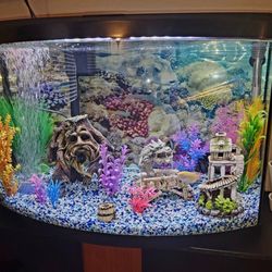 Like New 60 Gallon Fish Tank ( Round Front) And Storage Stand