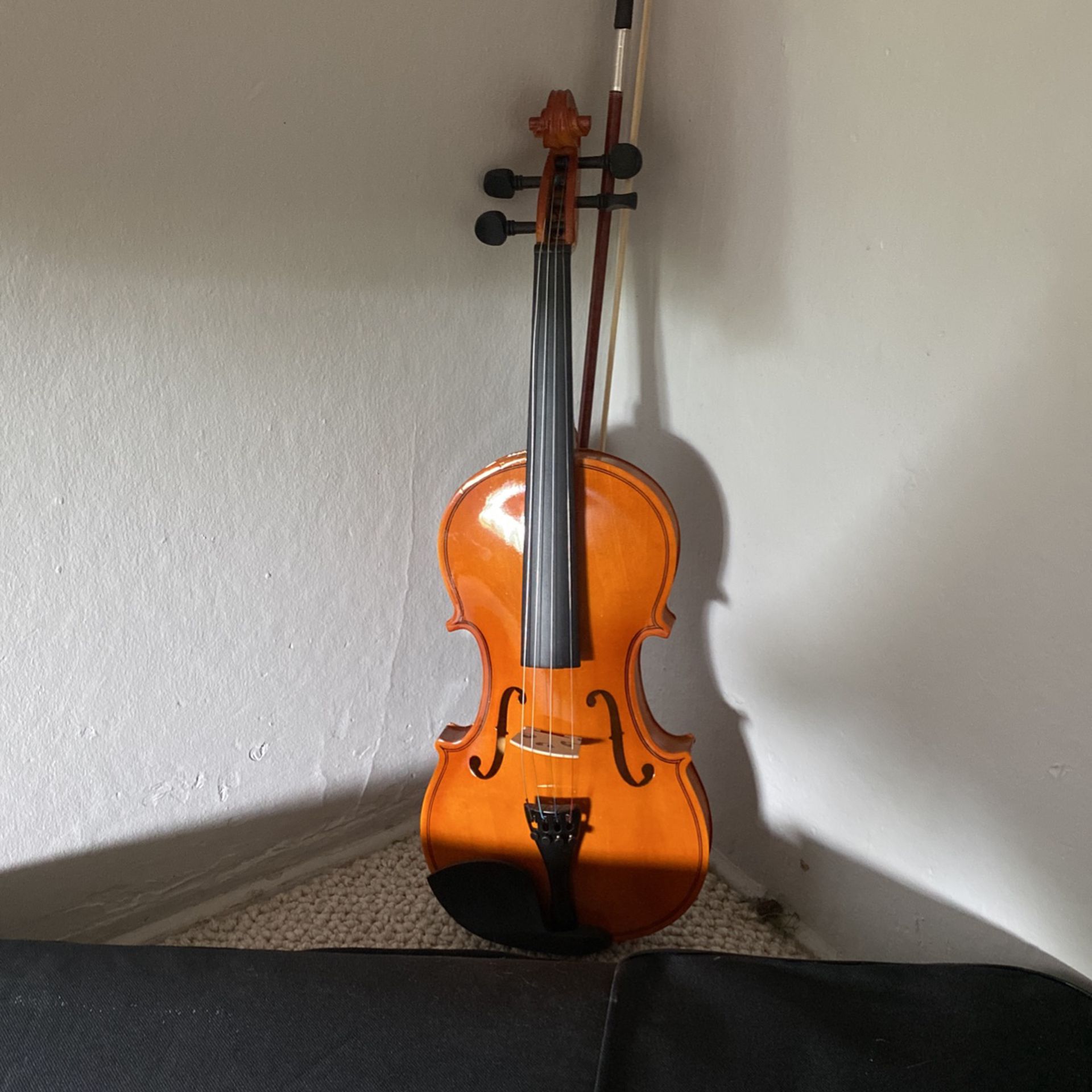 Violin / fiddle