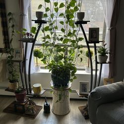 Two Separate Piece Plant Stand