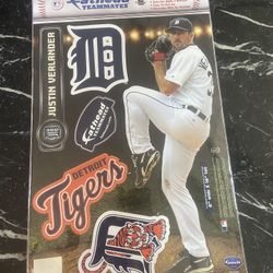 Fathead Wall Graphics 