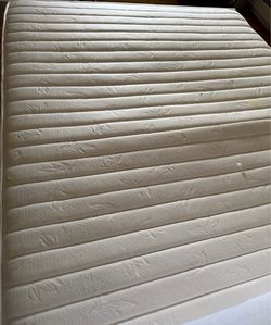 Queen 10” mattress