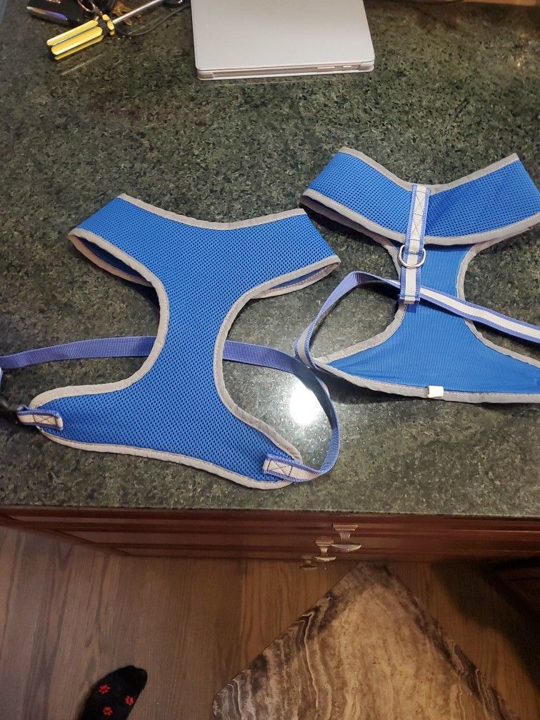 2 Dog Harness Blue