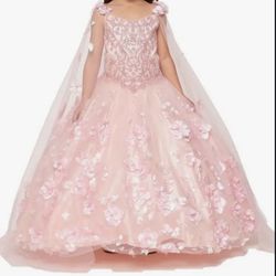 Cinderella Couture Dress 