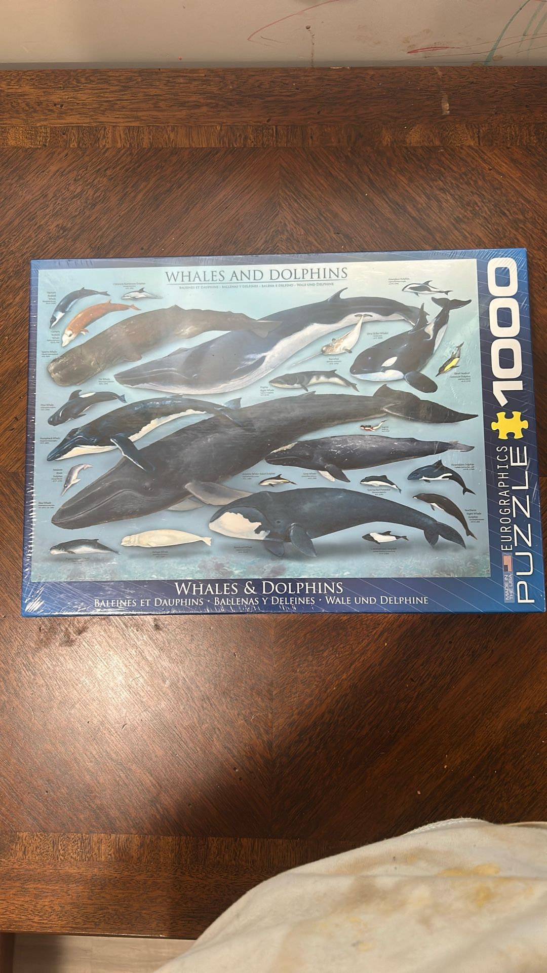 Whales And Dolphins Puzzle