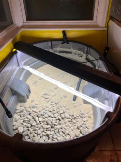 150 gallon pond