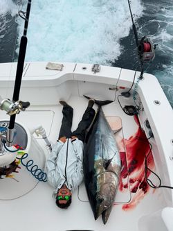 CUSTOM MADE CABO RODS F 6455XXH-WO-UB 5'6" 60-100lb COUSINS Blank - 4 AVAILABLE