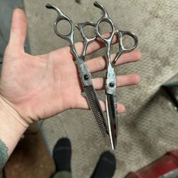 Professional Shears