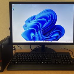 Pristine Fast Lenovo Micro Desktop Set. $250