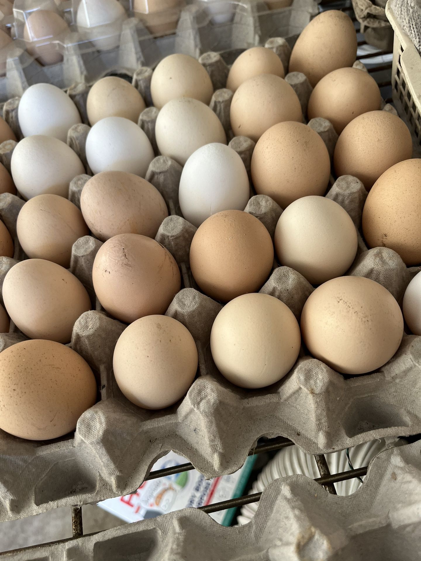 Fresh Farm Eggs For Sale $5 Per Dozen