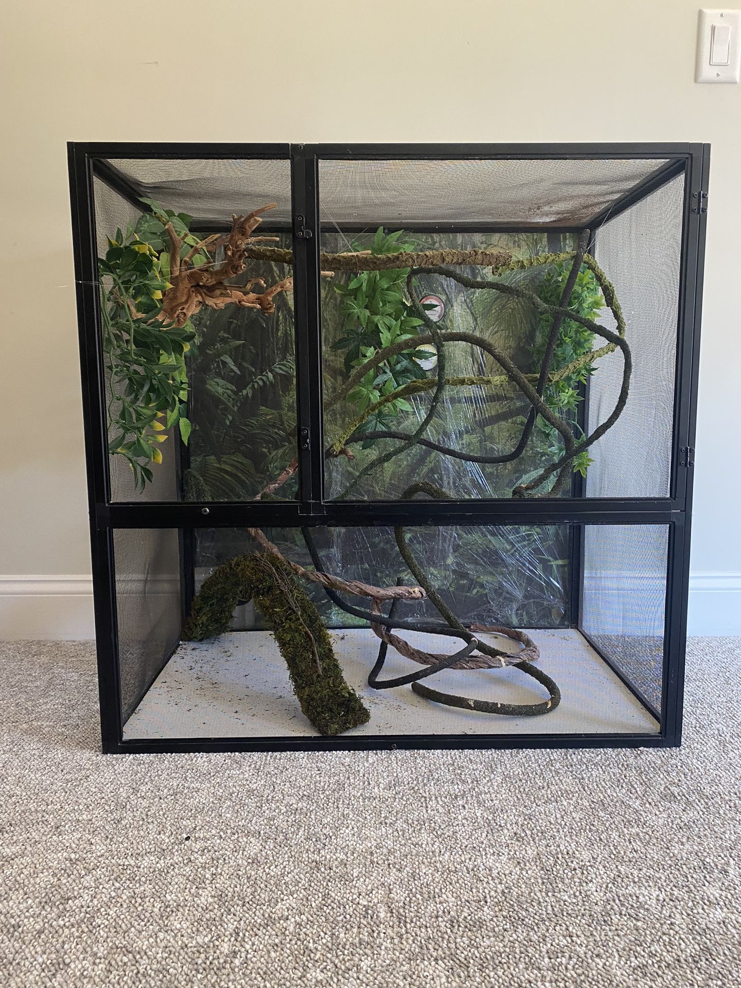 Reptile enclosure 30 x 30 x 18 Inches