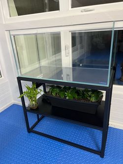 rimless aquarium 44g landen