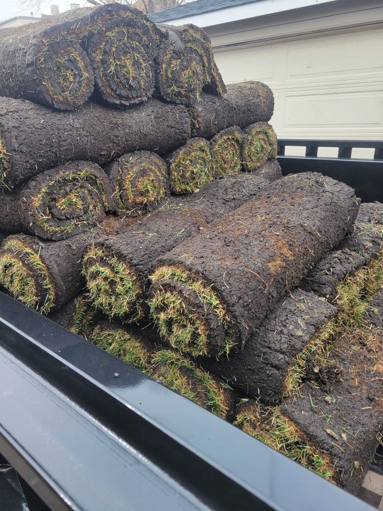 New Sod . Fresh Sod