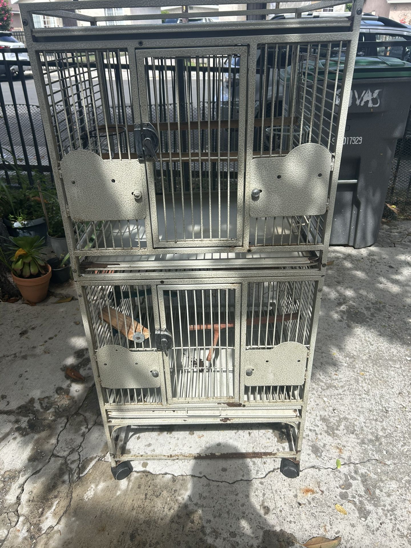 Bird Cage