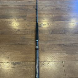 Daiwa SeaGate Fishing Rod