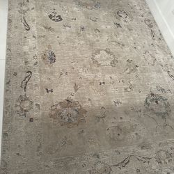 SURYA 8x10 Rug