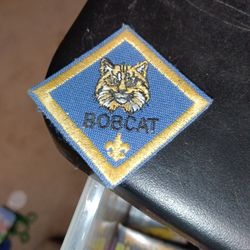 CUB SCOUT PATCH