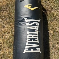 Everlast Heavy Bag