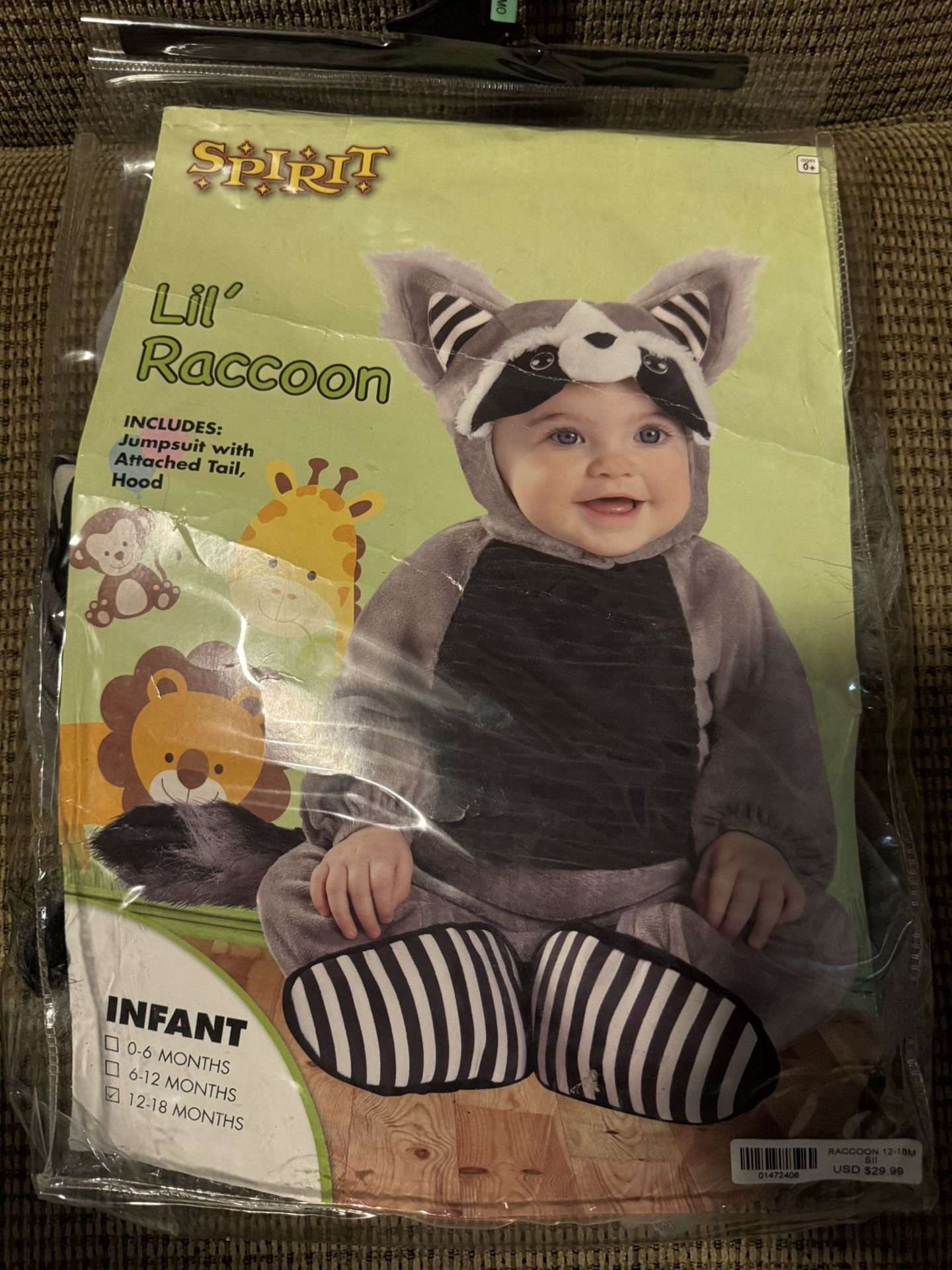 Halloween Costume, Racoon