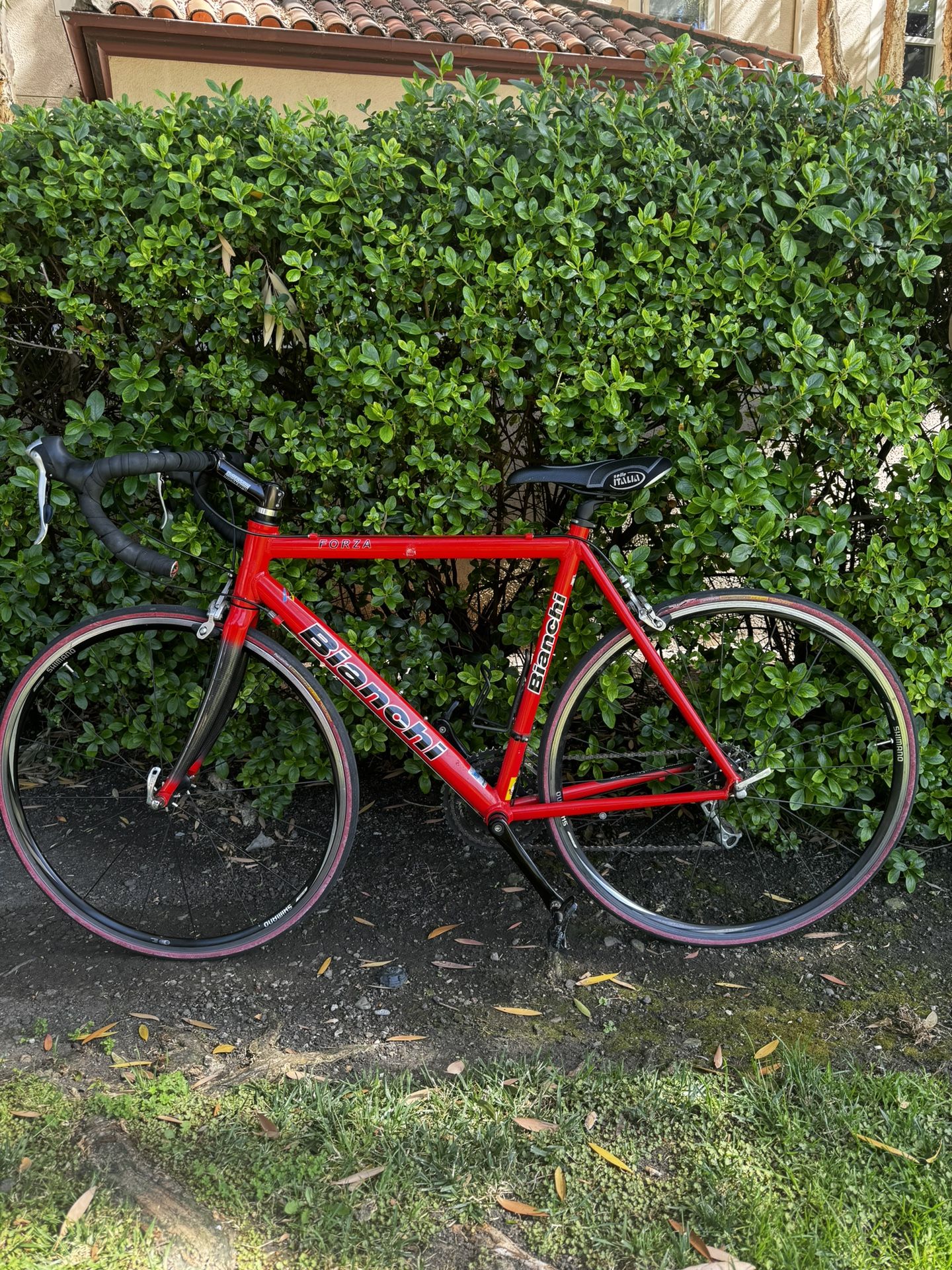 2006 Bianchi Forza 54cm Road Bike for Sale in Santa Clara, CA