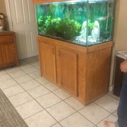 100 Gallon Glass Fish Tank