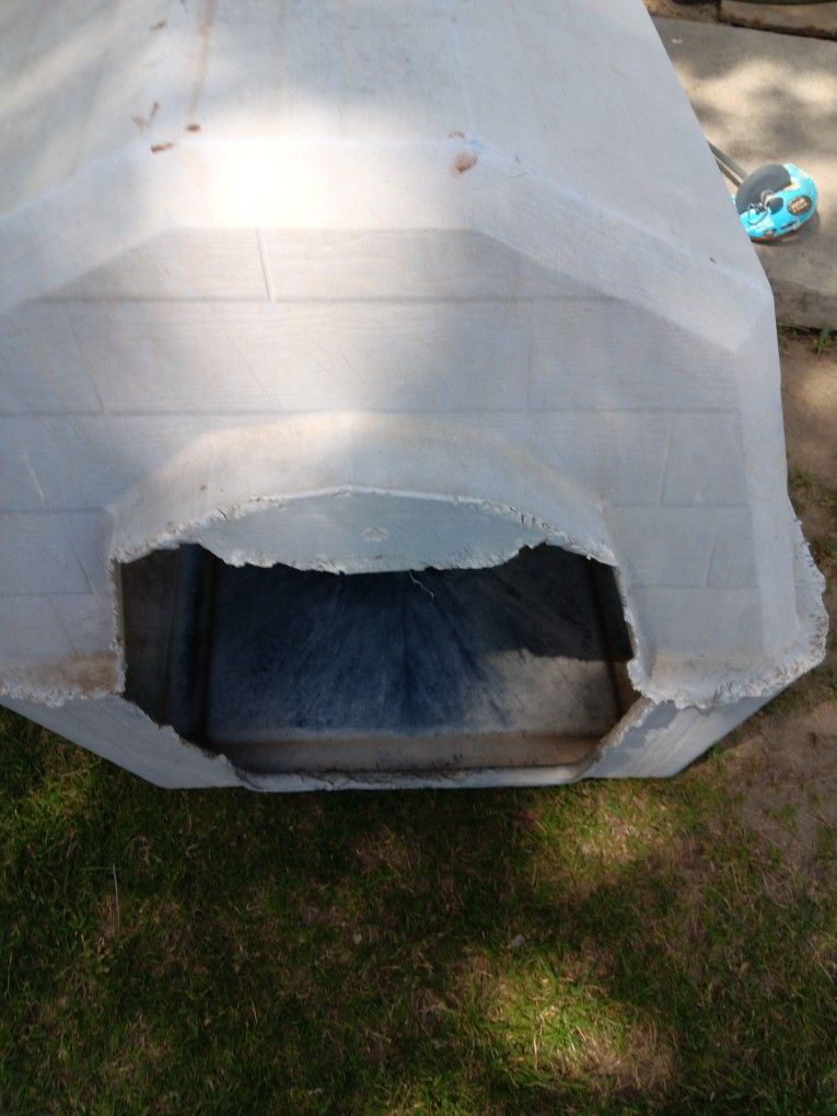Dog House