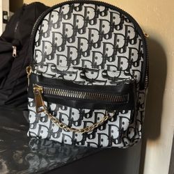 Dior Backpack 