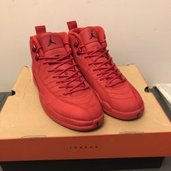 Jordan 12