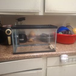 Pesera 