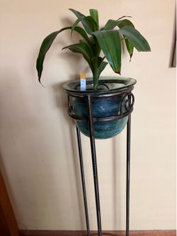 Plant stand