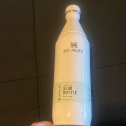 The All Day Slim Bottle 20oz (Stanley) 