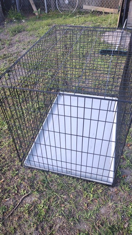 Large Size Dog Cage Black Wire Great Condition/ New Tray As Well!