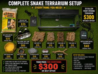 Complete Zoo Med 20 Gallon Front Opening Snake Terrarium Setup – $300 OBO