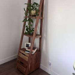 Ladder Shelf 