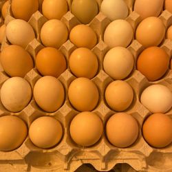 Farm Fresh Eggs