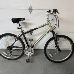 Adult Mountain / Town Bike