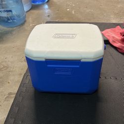 Coleman Beach Cooler