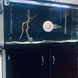 75 gallon fish tank 