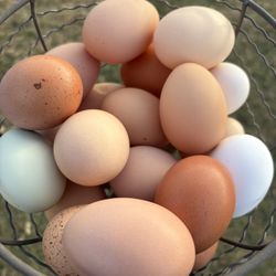 Farm Fresh Eggs 