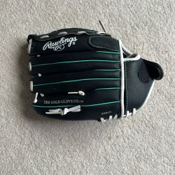 Fast Pitch Rawlings Glove 