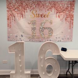 Sweet 16th Birthday Back Drop And Number Sign.