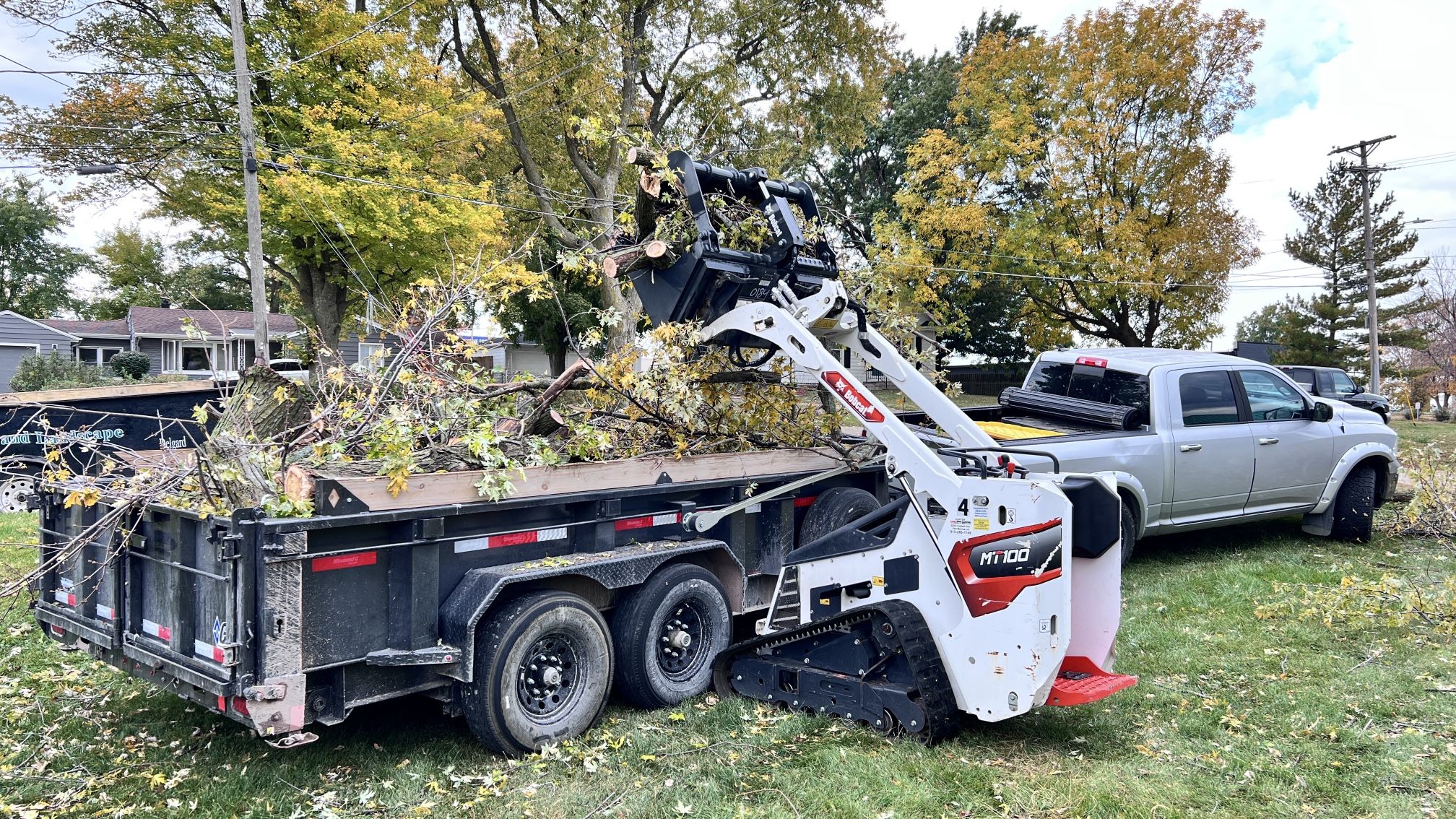 Tree Services Des Moines Iowa.