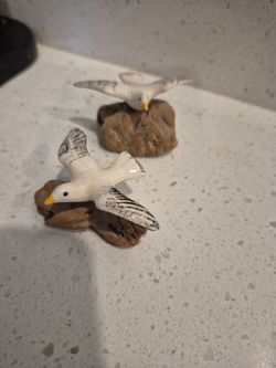 Seagull decor