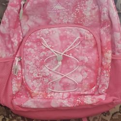 High Sierra Backpack 